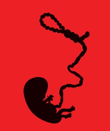 323 هزار سقط جنین در سال