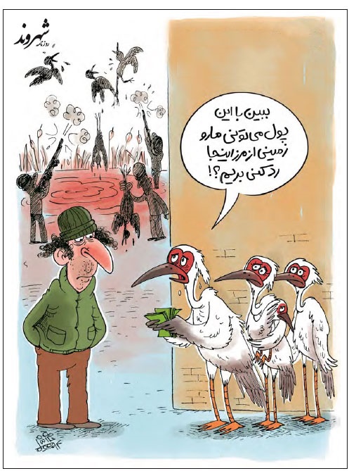 کاریکاتور/شکار پرندگان فریدونکنار