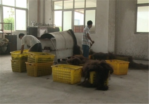 تجارت مو در چین