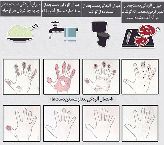 میزان آلودگی دست ها در تماس با هریک از اشیاء