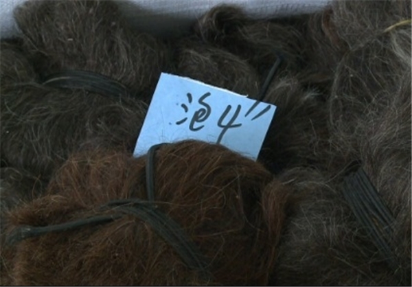 تجارت مو در چین