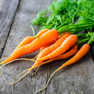 هویج و سیب زمینی درشت نخرید - مواد غذایی - تغذیه - سلامت نیوز